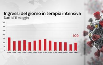 covid grafiche dati ricoveri terapie intensive