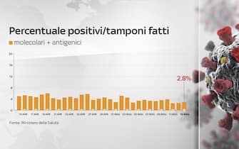 Covid, le grafiche con i dati del 13 maggio: la percentuale dei positivi Secondo il bollettino del 13 maggio 2021 la percentuale positivi è del 2,8%