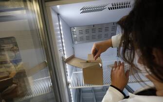 Catanzaro, operatrice sanitaria con le dosi di vaccino Un'operatrice sanitaria tira fuori una dose di vaccino in un ospedale di Catanzaro