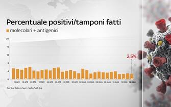 Grafico sulla percentuale di positivi in Italia