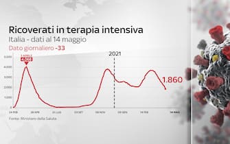 Grafico sull'andamento dei ricoveri in t. intensiva da febbraio 2020 a oggi