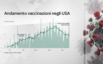 Andamento vaccinazioni negli Usa