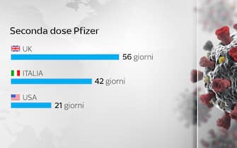 Grafiche coronavirus: la distanza tra le due dosi Pfizer nei diversi Paesi