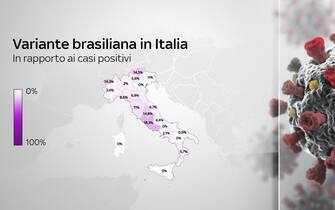 Grafiche coronavirus: la variante brasiliana in Italia