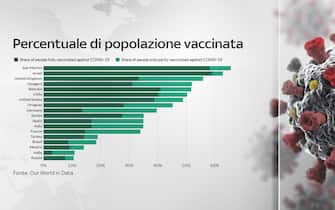 Grafiche coronavirus: la percentuale di popolazione vaccinata