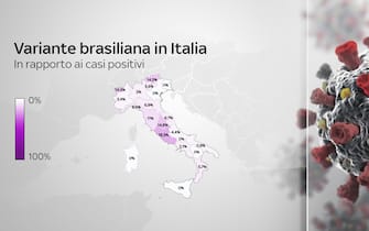 Grafiche coronavirus: la variante brasiliana in Italia