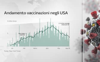 Grafico su andamento vaccini negli Usa