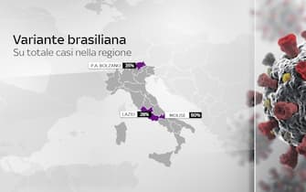 Diffusione variante brasiliana in Lazio Molise e PA Bolzano