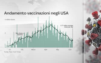 Grafiche coronavirus: l'andamento delle vaccinazioni negli Usa