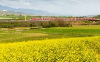 Un treno Frecciarossa di Trenitalia in viaggio tra le campagne italiane