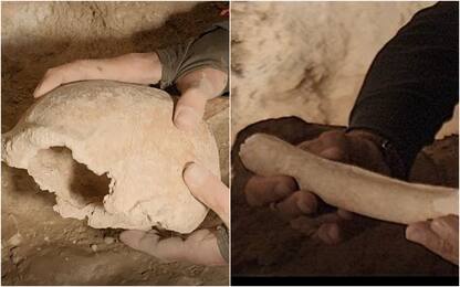 Uomo di Neanderthal, le immagini inedite dei resti trovati al Circeo