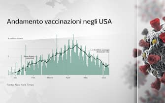 Grafico andamento vaccinazioni negli Usa