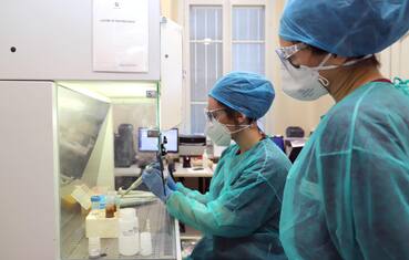 Cnr, messo a punto un nanosistema per contrastare il tumore al colon