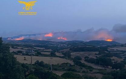 Sardegna, rogo nell'Oristanese: evacuazioni e Canadair in azione. FOTO