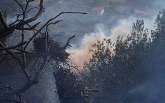 Foto Alessandro Tocco - LaPresse 
26-07-2021 Provincia - Oristano -  Italia
cronaca 
Incendi Provincia di Oristano 
Nella foto:  incendi sulle colline 

Photo Alessandro Tocco - LaPresse 
26 July 2021 - Oristano -  Italy
news
Sardinia fires -  
Nella foto:  Sardinia fires


