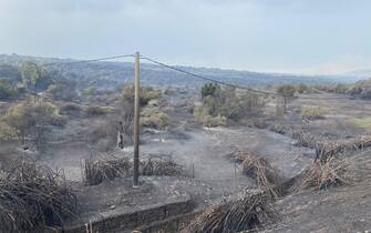 Quasi 400 persone evacuate per tutta la notte, abitazioni danneggiate, un centinaio di ettari di territorio divorati dal fuoco. Non sono ancora stati domati gli incendi che hanno messo in ginocchio l'area del Montiferru, nell'Oristanese, 25 luglio 2021.
ANSA/FABRIZIO FOIS