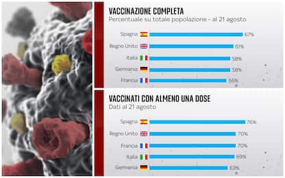 Covid, la campagna vaccinale in Italia e negli altri Paesi. I DATI