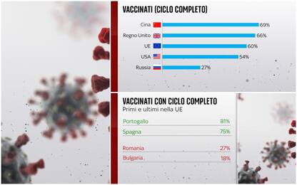 Covid, chi sta vaccinando di più nel mondo: i dati
