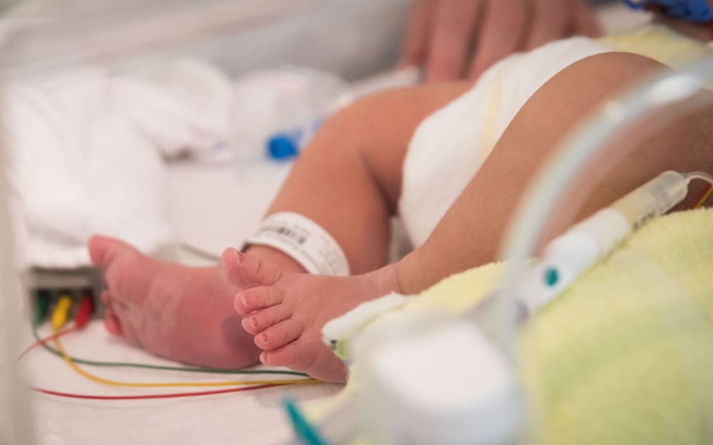 Covid Padova, neonato ricoverato in terapia intensiva: la mamma non era vaccinata - Vimarsana News