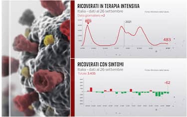 Grafiche coronavirus