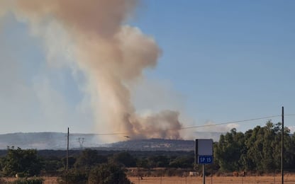 Sardegna, nuovi incendi nelle zone dell'Oristanese colpite d’estate