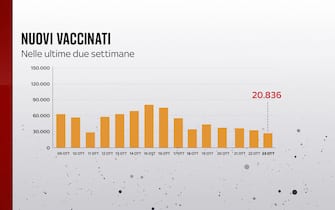 Grafiche coronavirus: i nuovi vaccinati