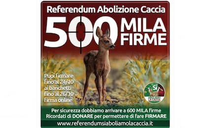 Referendum per l'abolizione della caccia: raccolte 500 mila firme