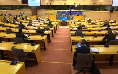 Gaffe di Giarrusso al Parlamento Ue: non parla in inglese. VIDEO