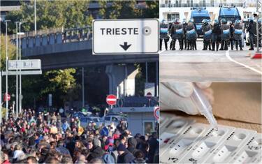collage_trieste