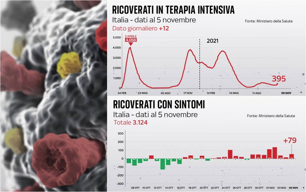 Covid, Posti Letto In Terapia Intensiva E Ricoveri: I Dati Di Oggi ...