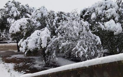 Neve in Irpinia, rinviata partita di calcio tra Avellino e Catania