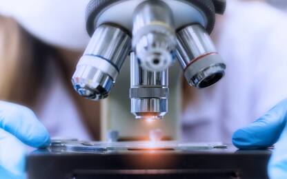 Ia guida arti robotici: al via all'Università di Siena progetto Haria