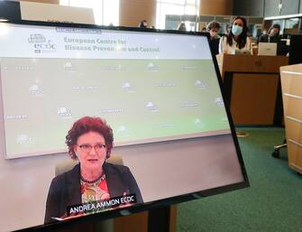 Director of the European Centre for Disease Prevention and Control (ECDC)   Dr Andrea Ammon during a video hearing by European Parliament Committee on the Environment, Public Health and Food Safety in Brussels, Belgium, 02 September 2020. ANSA/OLIVIER HOSLET