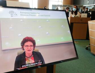BELGIUM EU PARLIAMENT HEARING DIRECTOR EUROPEAN DISEASE CENTER Director of the European Centre for Disease Prevention and Control (ECDC) Dr Andrea Ammon during a video hearing by European Parliament Committee on the Environment, Public Health and Food Safety in Brussels, Belgium, 02 September 2020. ANSA/OLIVIER HOSLET