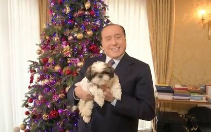 Natale, gli auguri di Berlusconi su Instagram con il cane Gilda. VIDEO
