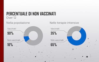 Grafiche coronavirus: la percentuale di vaccinati e non