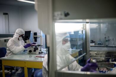 Individuata nei topi causa dei sanguinamenti nelle febbri emorragiche