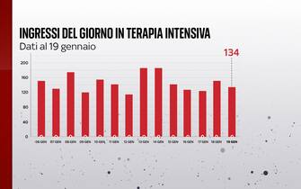 Ingressi del giorno in rianimazione andamento