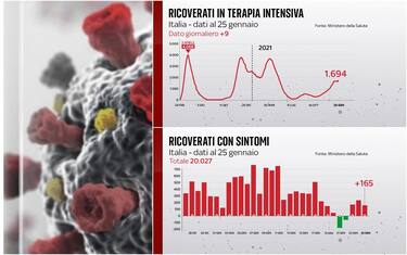 Grafiche coronavirus