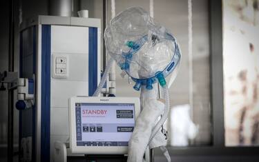 Coronavirus in Italia e nel mondo: news di oggi 14 marzo