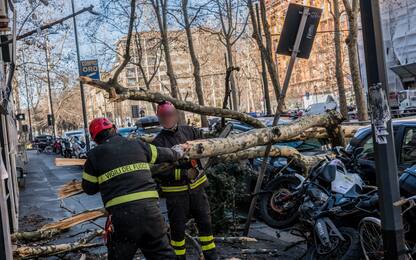 Milano, vento forte: alberi divelti, danni in Stazione Centrale. VIDEO