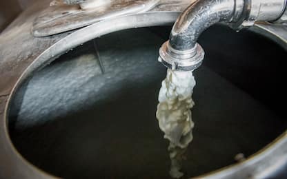 Marche, scoperta truffa della cisterna per allungare latte con acqua