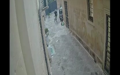 Lecce, fermato l’uomo che ha ucciso un gatto a calci in pieno centro