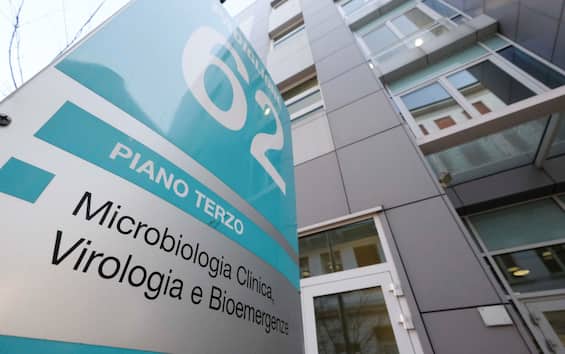 Vaiolo delle scimmie, al Sacco di Milano isolato il virus responsabile dell Vaiolo delle scimmie, al Sacco di Milano isolato il virus responsabile dell
