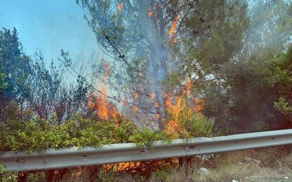 Incendio sul Gargano, 80 persone evacuate dalla Baia delle Zagare