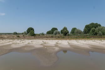 Una veduta del fiume Po in secca a seguito dell'emergenza siccita', a Quingentole (MN) , 20 giugno 2022. ANSA/RICCARDO DALLE LUCHE