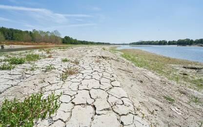 Siccità, Fontana: “In Lombardia l'acqua per l'agricoltura sta finendo”