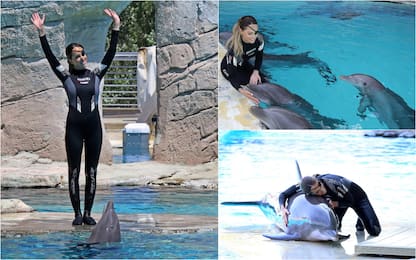 Riccione, Gessica Notaro torna ad addestrare i delfini. FOTO
