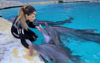 Notte Rosa nei parchi Costa, Gessica Notaro a Oltremare: "Per i delfini sono sempre la stessa"