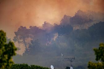 A fire of vast proportions is affecting the areas of Massarosa and Bozzano (LUCCA) engaging the fire brigade, with the help of two Canadair and three helicopters and of the civil protection of Massarosa, 19 July 2022. ANSA/RICCARDO DALLE LUCHE
